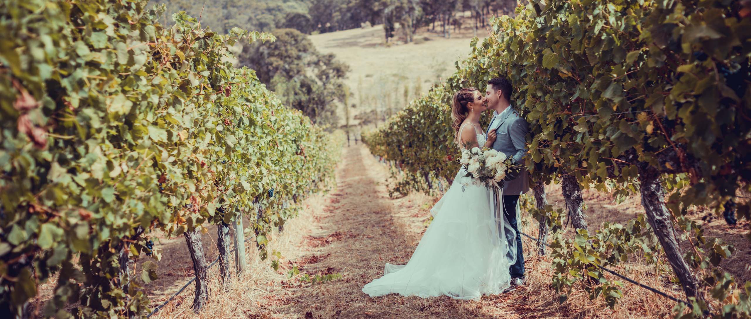 Noel Wedding Vineyard